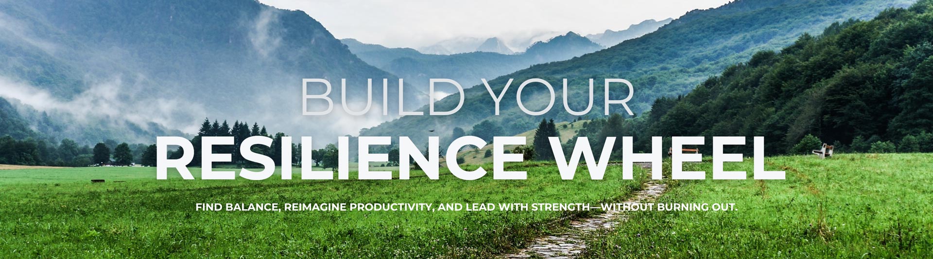 Headline: Build Your Resilience Wheel